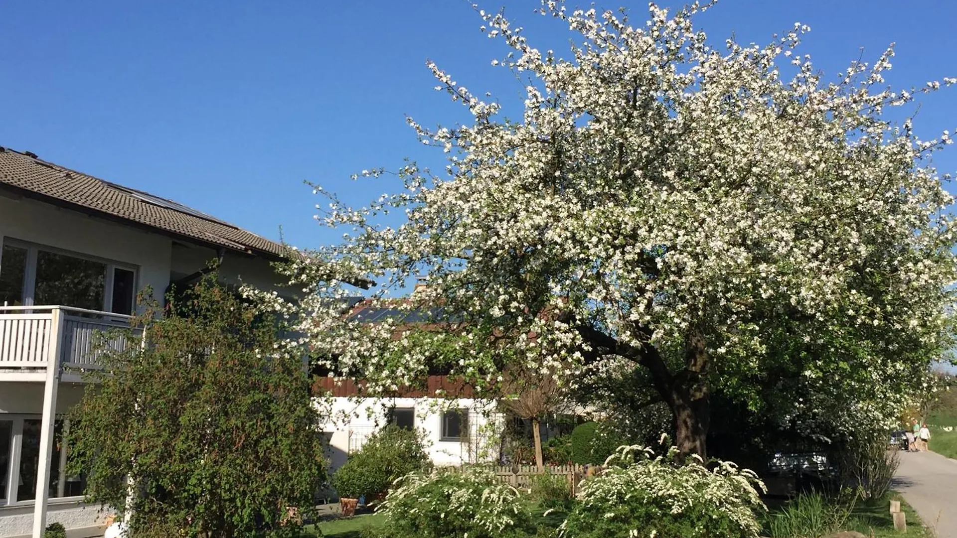 Haus Irmgard Apartment Bad Endorf Germany